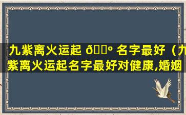 九紫离火运起 🐺 名字最好（九紫离火运起名字最好对健康,婚姻,财富 🍀 好的名字）